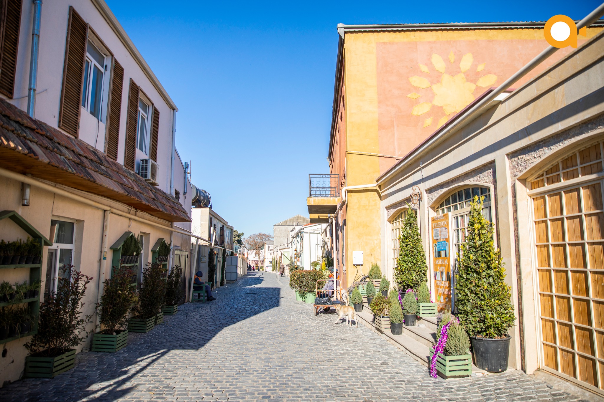 发现阿塞拜疆和格鲁吉亚