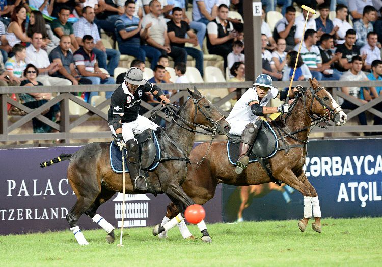 Elite Horse and Polo Club