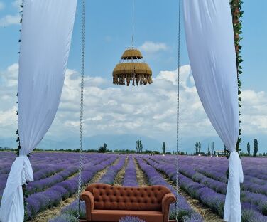 Essenso Lavender Field – A Colorful Nature Experience in Gabala