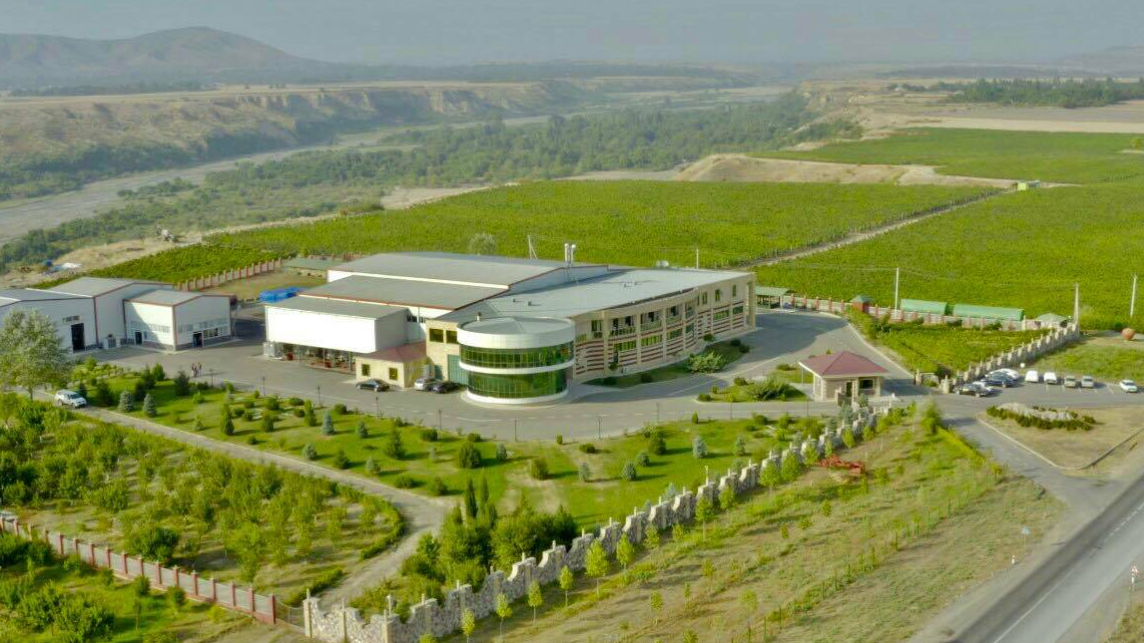 Savalan Wine Factory – Discover Gabala’s Wine Culture