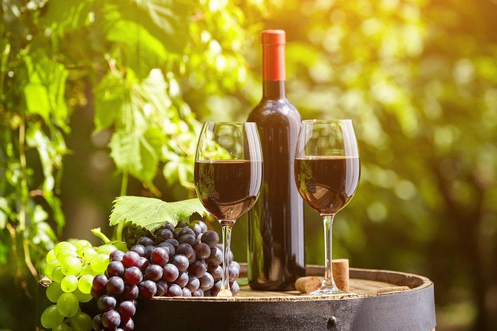 Savalan Wine Factory – Discover Gabala’s Wine Culture