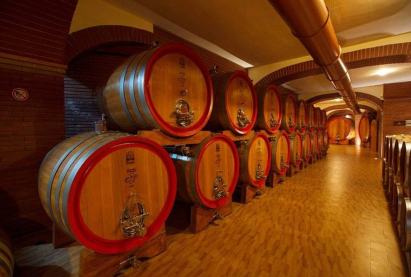Savalan Wine Factory – Discover Gabala’s Wine Culture